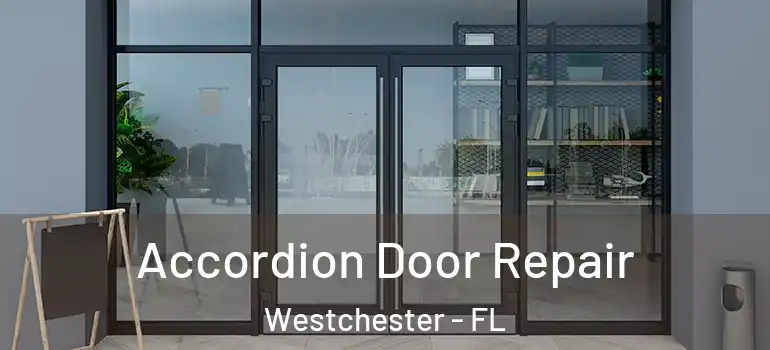  Accordion Door Repair Westchester - FL