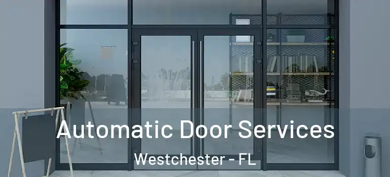 Automatic Door Services Westchester - FL