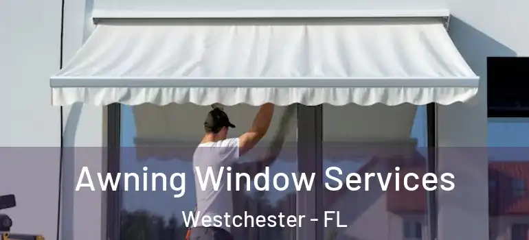  Awning Window Services Westchester - FL