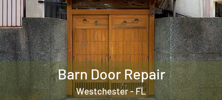  Barn Door Repair Westchester - FL