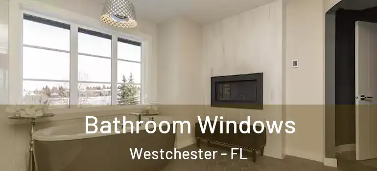  Bathroom Windows Westchester - FL