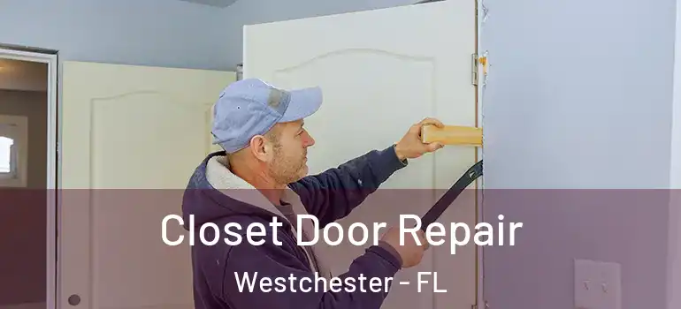  Closet Door Repair Westchester - FL