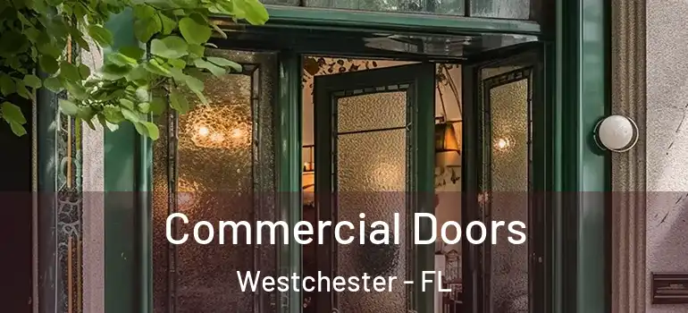  Commercial Doors Westchester - FL