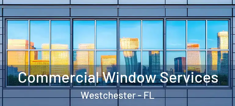  Commercial Window Services Westchester - FL