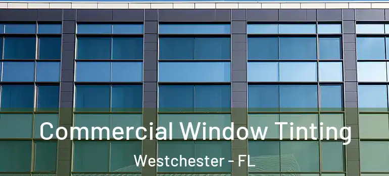  Commercial Window Tinting Westchester - FL