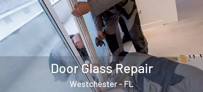  Door Glass Repair Westchester - FL