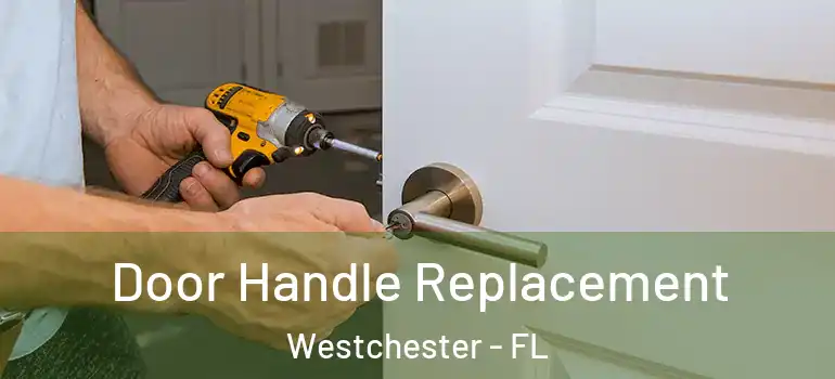  Door Handle Replacement Westchester - FL