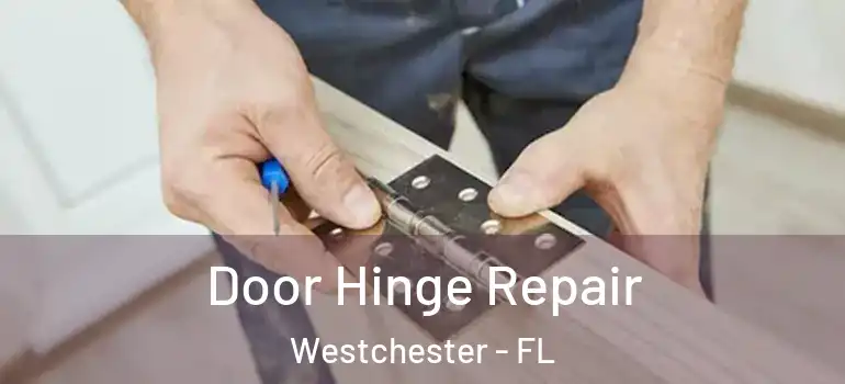  Door Hinge Repair Westchester - FL