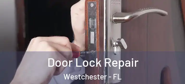  Door Lock Repair Westchester - FL