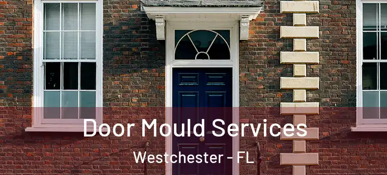  Door Mould Services Westchester - FL