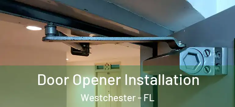  Door Opener Installation Westchester - FL