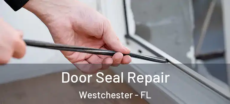  Door Seal Repair Westchester - FL