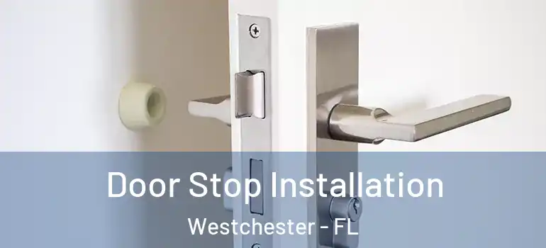  Door Stop Installation Westchester - FL