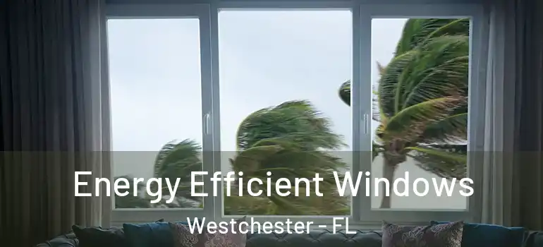  Energy Efficient Windows Westchester - FL