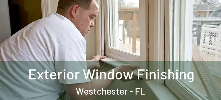  Exterior Window Finishing Westchester - FL