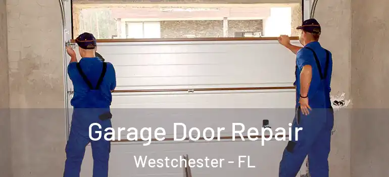  Garage Door Repair Westchester - FL