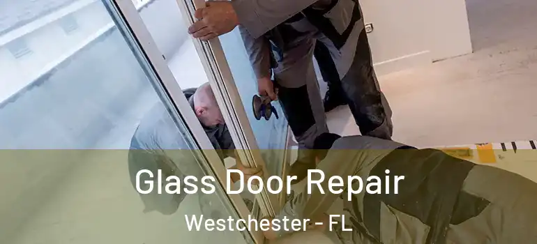  Glass Door Repair Westchester - FL