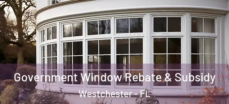  Government Window Rebate & Subsidy Westchester - FL