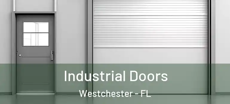  Industrial Doors Westchester - FL
