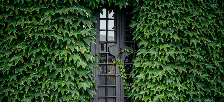 Garden Gate Repair in Westchester, FL
