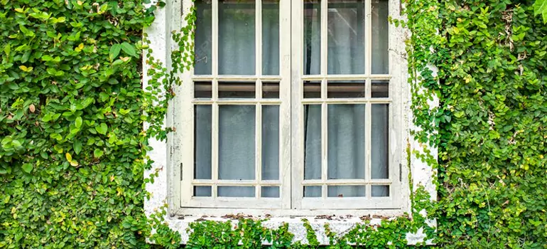 Garden Window Repair Near Me in Westchester, FL