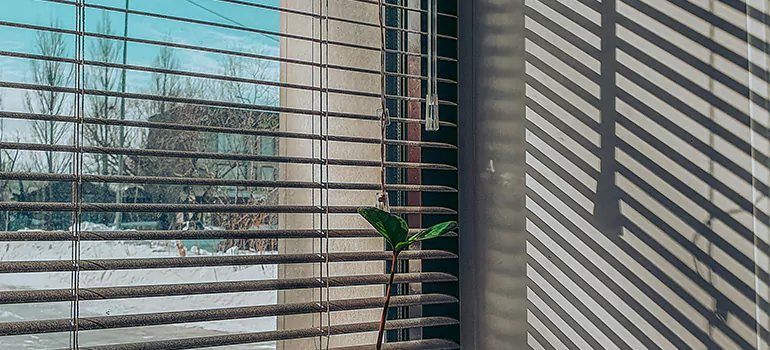 Commercial Window Blinds in Westchester, FL