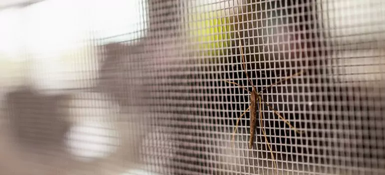 Repair Mosquito Mesh For Windows in Westchester, FL