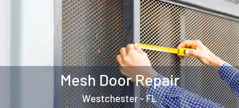  Mesh Door Repair Westchester - FL