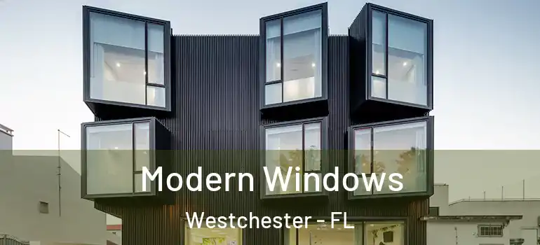  Modern Windows Westchester - FL