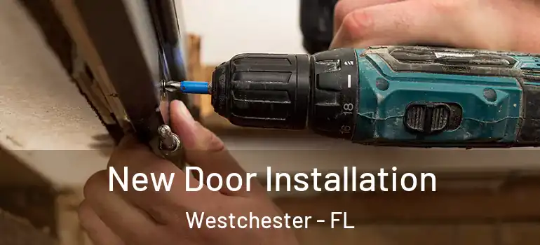  New Door Installation Westchester - FL