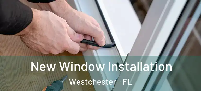  New Window Installation Westchester - FL