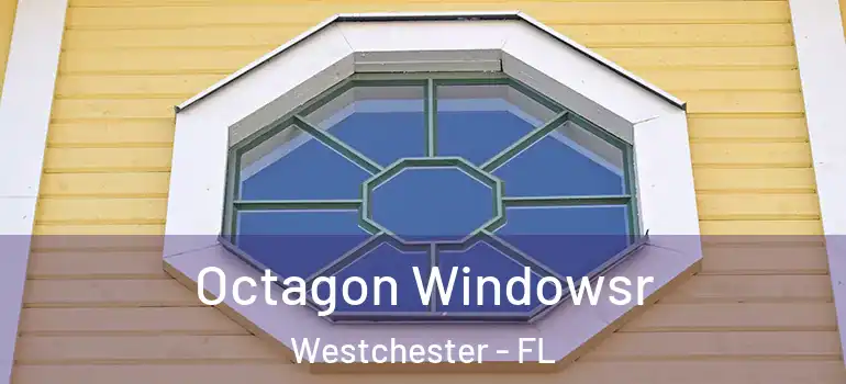  Octagon Windowsr Westchester - FL