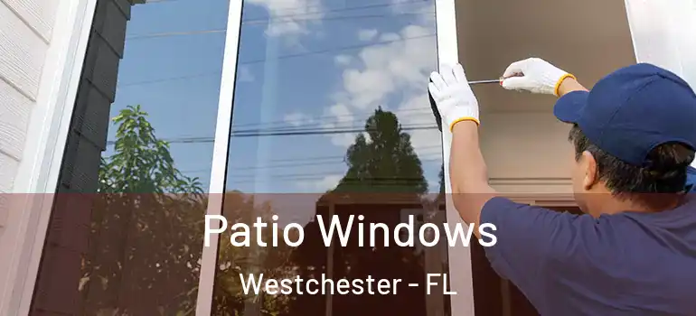  Patio Windows Westchester - FL