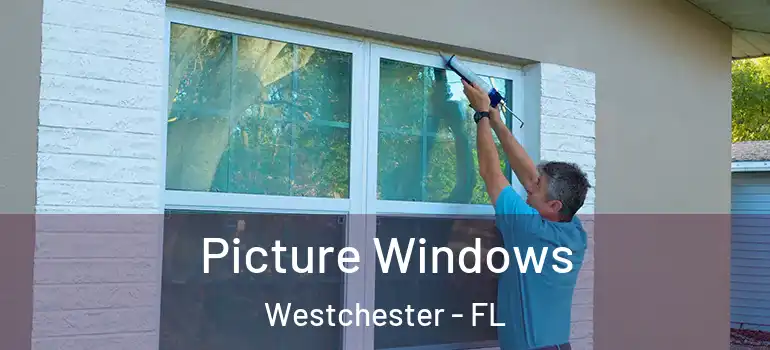  Picture Windows Westchester - FL
