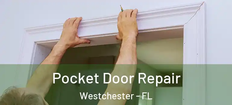  Pocket Door Repair Westchester - FL