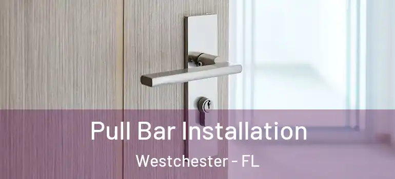  Pull Bar Installation Westchester - FL