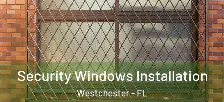  Security Windows Installation Westchester - FL