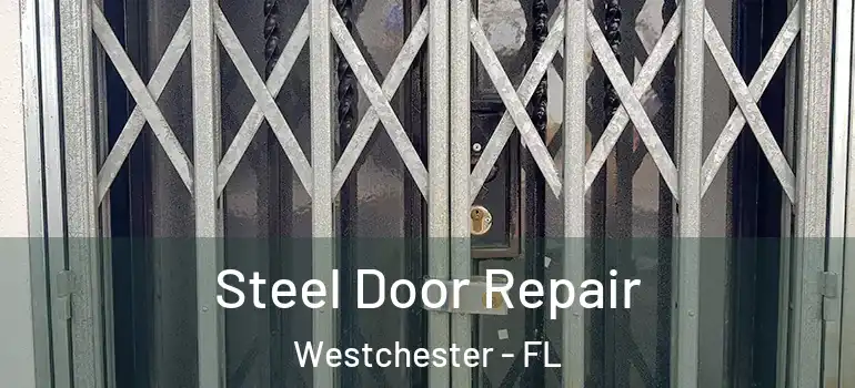  Steel Door Repair Westchester - FL