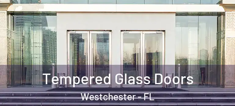  Tempered Glass Doors Westchester - FL