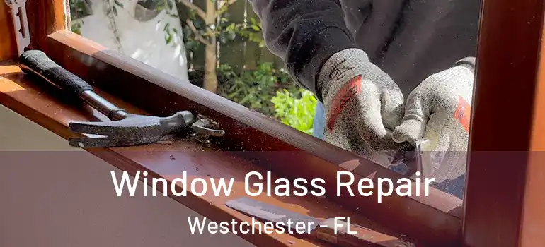  Window Glass Repair Westchester - FL