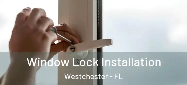  Window Lock Installation Westchester - FL