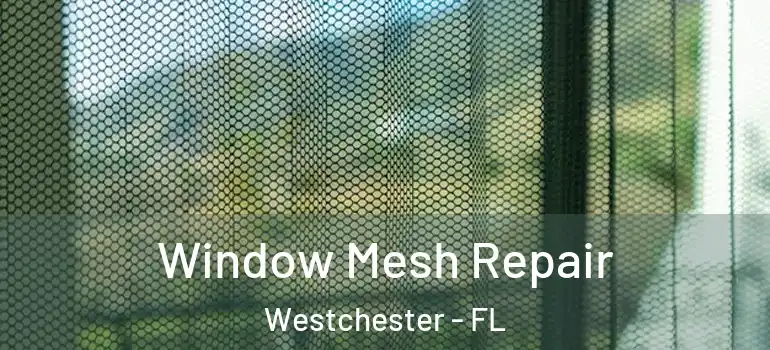  Window Mesh Repair Westchester - FL
