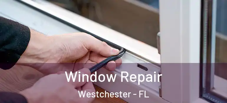  Window Repair Westchester - FL