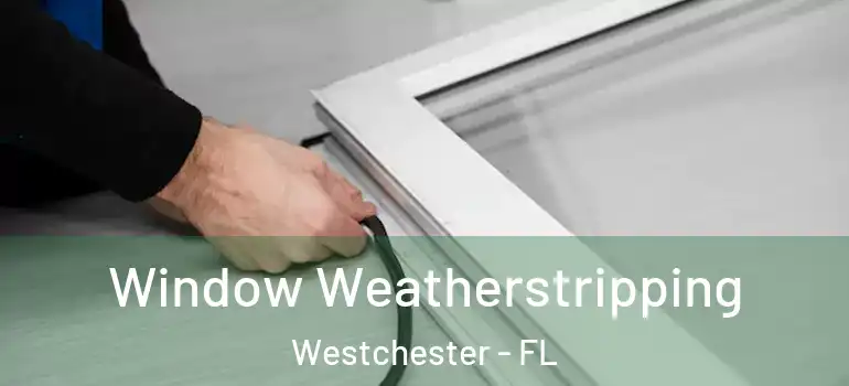  Window Weatherstripping Westchester - FL
